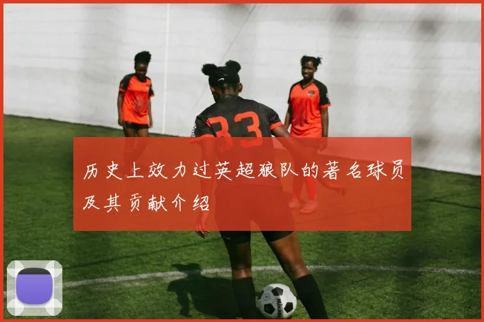 历史上效力过英超狼队的著名球员及其贡献介绍