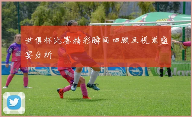 世俱杯比赛精彩瞬间回顾及视觉盛宴分析